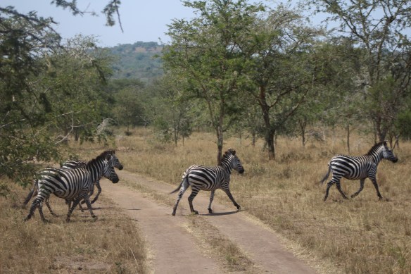 How do you know that people are visiting you in Uganda? You have an excuse to do touristy things.