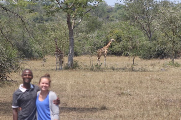...Other times I can only get it to focus on the giraffes, and not the people.